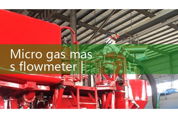 Micro gas mass flowmeter